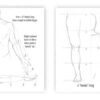 Drawing Cheat Codes Vol. 1 - Signed edition - Image 3