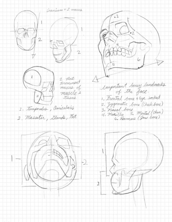 MIKE HAWTHORNE ANATOMY LESSONS - DIGITAL EDITION - Image 4